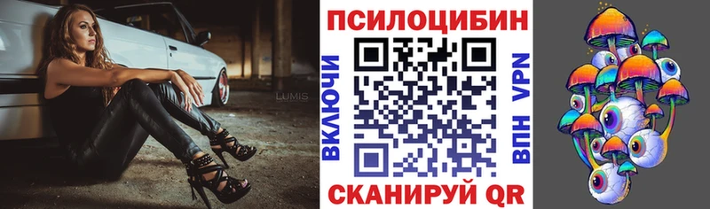 Галлюциногенные грибы мицелий  Купить где  Карачаевск 